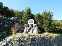 DSCF3312
