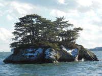 DSCN1868