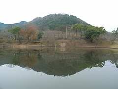 RIMG0366