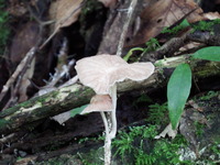 DSCF7460