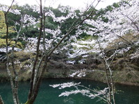 DSCF1337