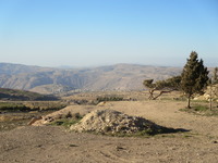 IMG_1254
