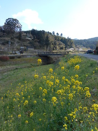 DSCN0851