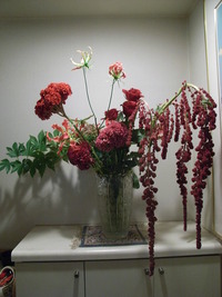 RIMG0398