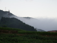 DSCF3241