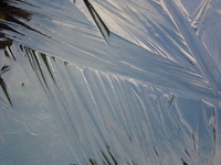 DSCN9856