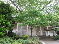 DSCN0430
