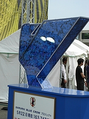 RIMG0089