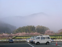 RIMG0688