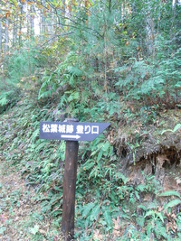 RIMG1732