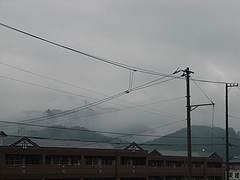 RIMG0139
