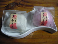 IMGP2174