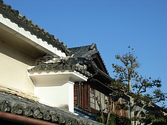 RIMG0617