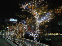 DSCN1541