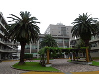 DSCN9429