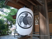 RIMG0024