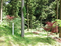 DSCF7312