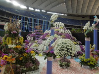 DSCN0010