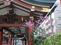DSCN8231