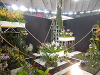 DSCN4724