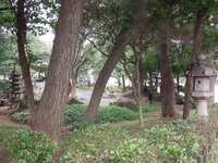 DSCN9341