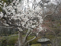 DSCN0513