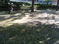 RIMG0946