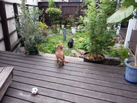 20140915_163034