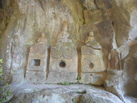 DSCN0830