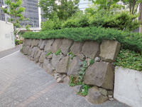 DSCN0588