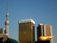 DSCN3497
