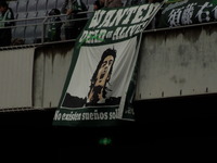 DSCN3122