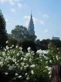 DSCN9874