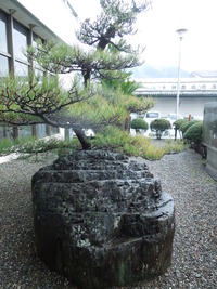 DSCN0018
