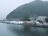 DSCN9865