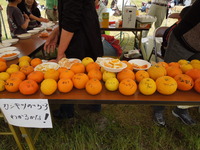 DSCN8834