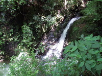 DSCF7513