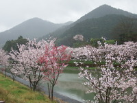 DSCF1083
