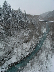 RIMG0139
