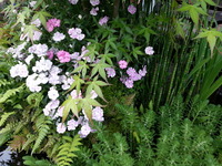 20160430_180909