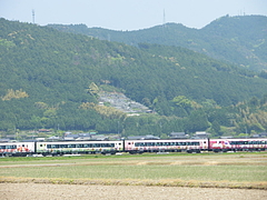 IMGP2428