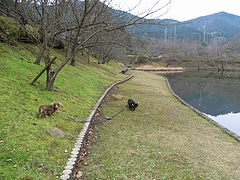 RIMG0365