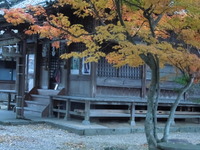 DSCN1207