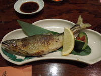 DSCN8354