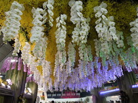 DSCN4660