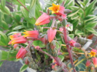 DSCN0161
