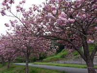 20150416_144641