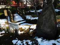 DSCN3451
