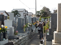 DSCN3625