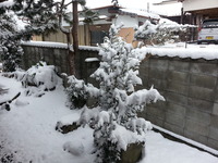 20160124_110501